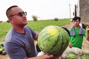 西藏扎西枫丹娱乐吃瓜