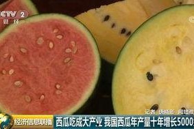 大楚网 吃瓜群众,揭秘“吃瓜群众”背后的网络现象